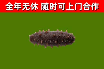 崂山区烟酒回收干海参.jpg